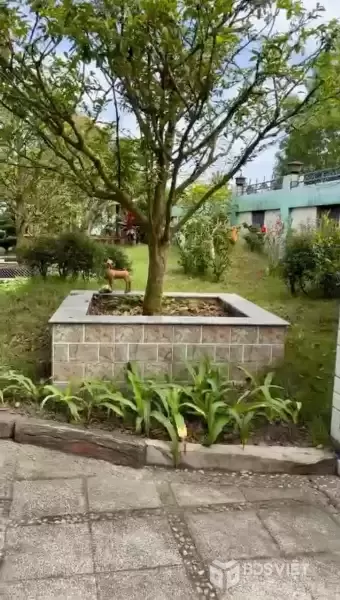 Bán nhà vườn xã Trung Lập Thượng có nhà gỗ mái ngói, hồ cá , thủy tạ.........tdt 3000m2 giá 9,5 tỷ