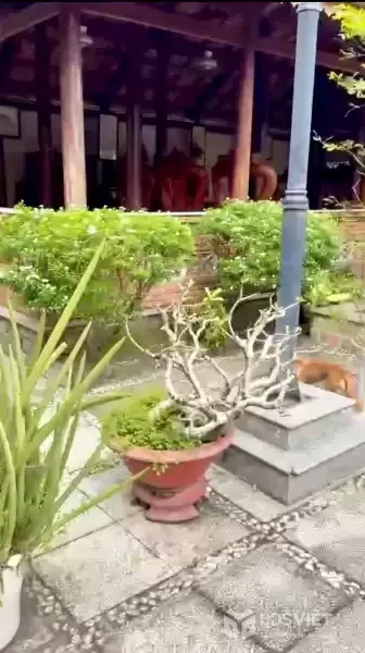 Bán nhà vườn xã Trung Lập Thượng có nhà gỗ mái ngói, hồ cá , thủy tạ.........tdt 3000m2 giá 9,5 tỷ