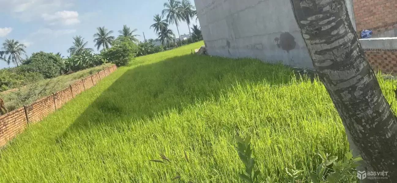 Bán đất mặt tiền đường nhựa ấp 10, Lương Hòa dt 1008m2 (250m2 thổ ) giá 6 tỷ