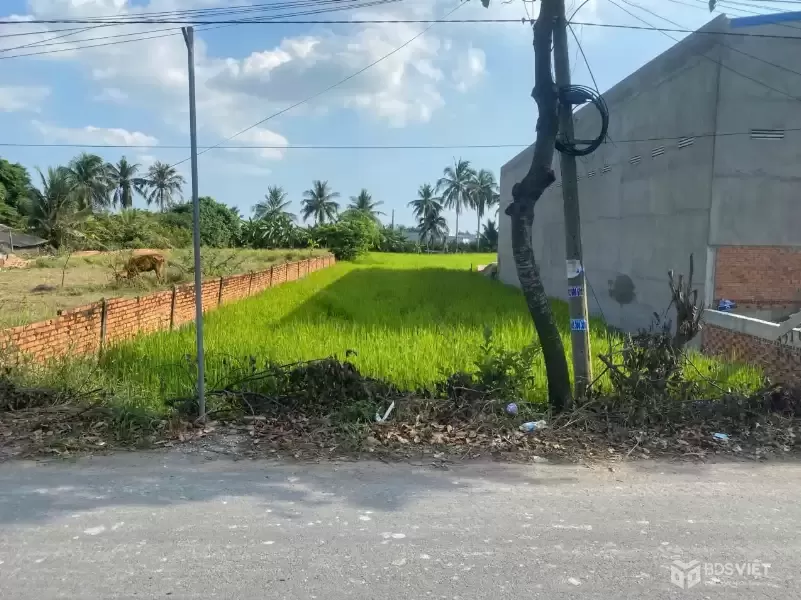 Bán đất mặt tiền đường nhựa ấp 10, Lương Hòa dt 1008m2 (250m2 thổ ) giá 6 tỷ