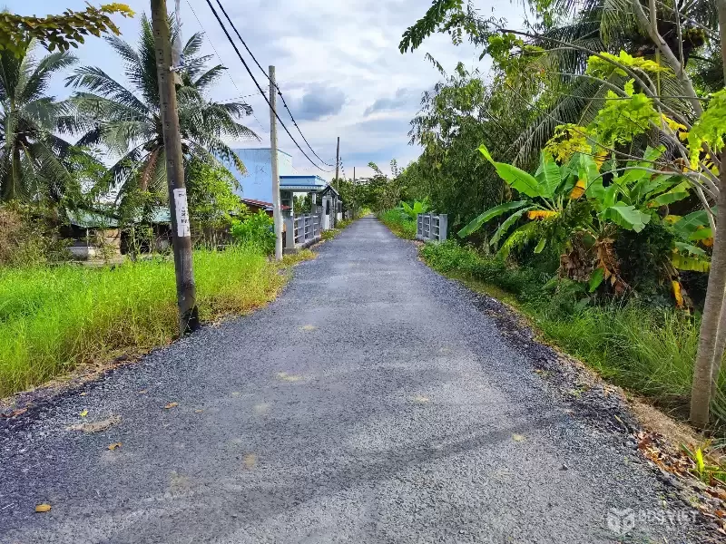 CẦN BÁN 4827M2 ĐẤT THỎ CƯ VÀ VƯỜN MT ĐƯỜNG NHỰA