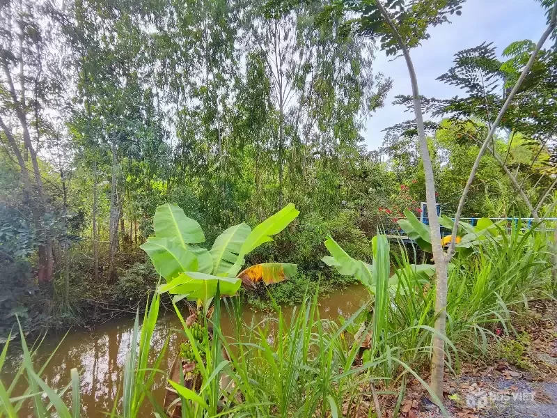 CẦN BÁN 4827M2 ĐẤT THỎ CƯ VÀ VƯỜN MT ĐƯỜNG NHỰA