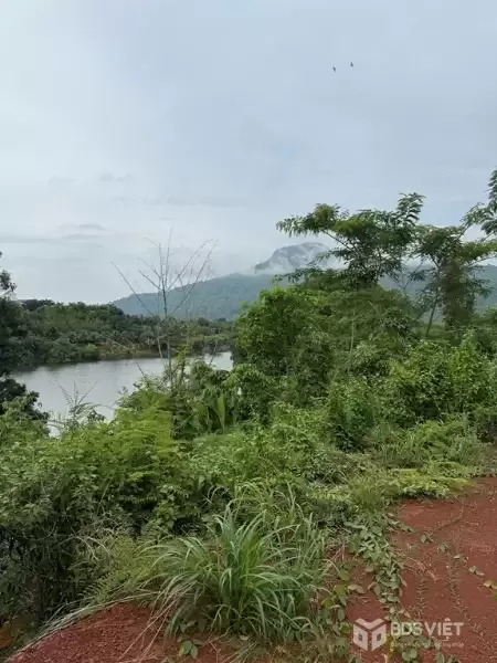 CẦN BÁN ĐẤT VIEW HỒ – VIEW NÚI - VIEW SĂN MÂY SIÊU ĐẸP Tại PHƯỚC BÌNH – ĐỒNG NAI