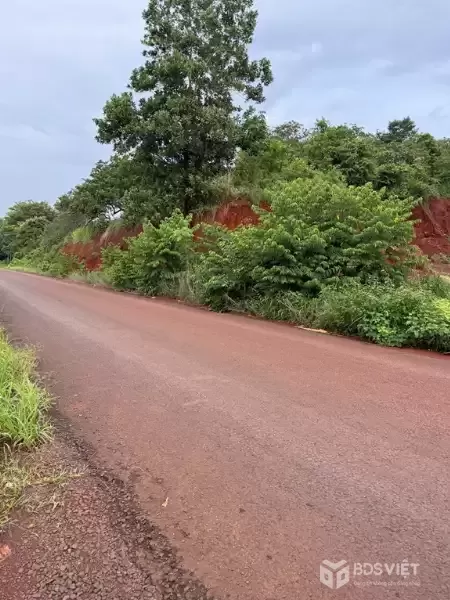 CẦN BÁN ĐẤT VIEW HỒ – VIEW NÚI - VIEW SĂN MÂY SIÊU ĐẸP Tại PHƯỚC BÌNH – ĐỒNG NAI