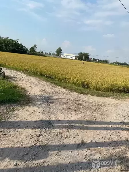 CHÍNH CHỦ CẦN BÁN GẤP ĐẤT 3 MẶT TIỀN ĐƯỜNG HỒ CHÍ MINH, Thị Trấn Hiệp Hòa