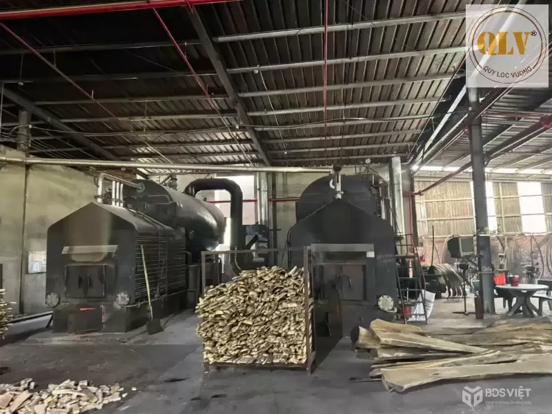 Cho thuê nhà xưởng Phước Hòa, Phú Giáo, Bình Dương 10.000m²