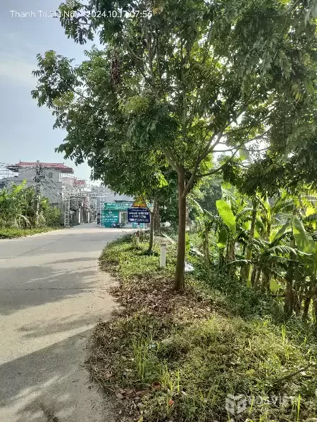 Bán gấp giá rẻ đất phân lô mặt biển Quất Lâm 78m, mặt tiền 4.5m, 1.5 tỷ Ninh Bình.