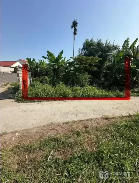 Lô Đất 203m2 Ngang 8m Nở Hậu Tuyến 2 Đường 402 - ZALO 0567 222 555