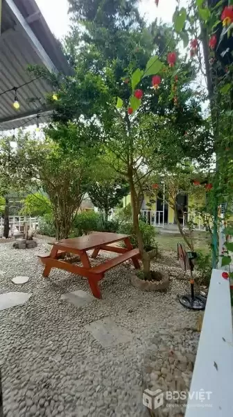 CHO THUÊ HOMESTAY SÂN VƯỜN _ P.8 ĐÀ LẠT _ CÁCH HỒ 100M