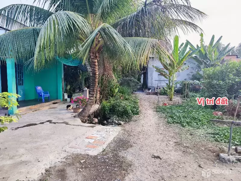 CẦN BÁN 307M2 ĐẤT THỔ CƯ HẺM XE HƠI KHI CẢI TẠO LẠI