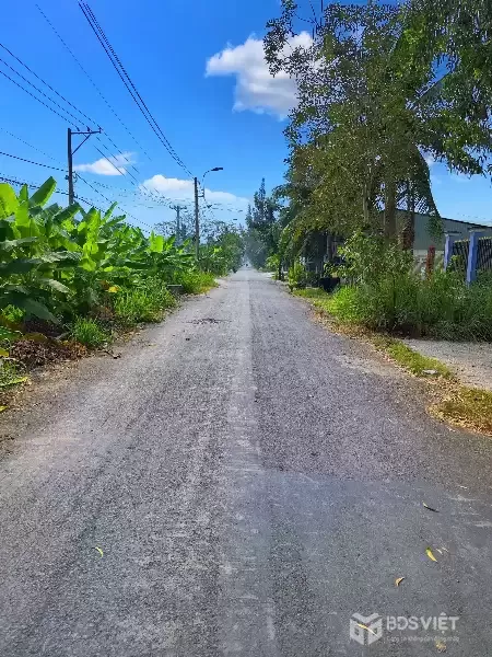 CẦN BÁN 299M2 ĐẤT THỔ CƯ VÀ NHÀ CẤP 4 MT ĐƯỜNG ĐÊ SỐ 2