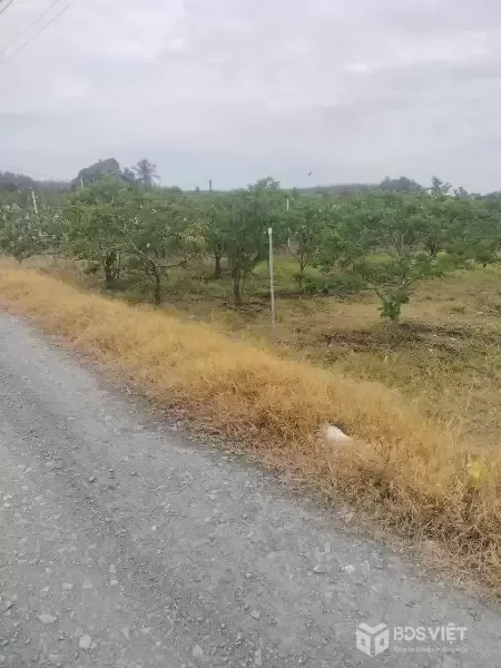 Cần bán đất trong TP Tây Ninh giá 9.6 tỷ