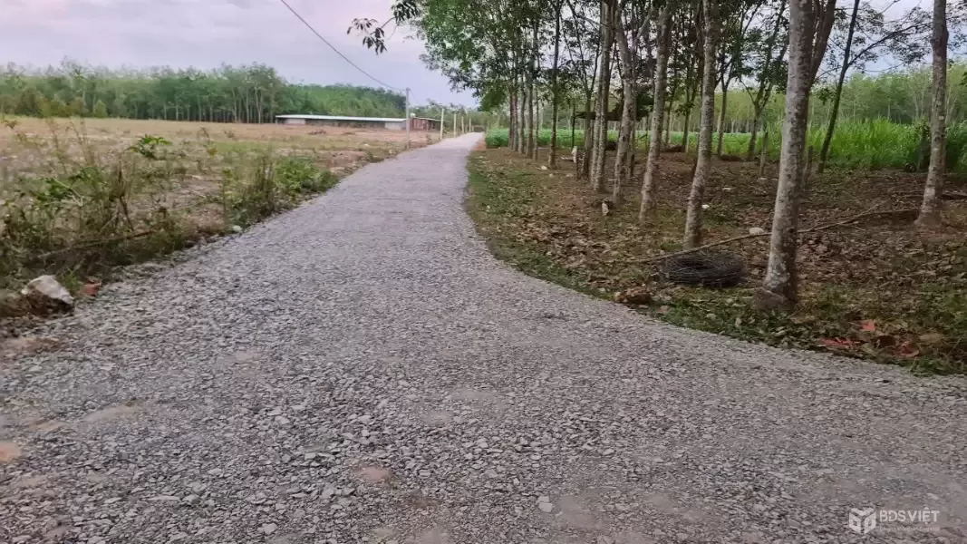 Cần bán đất Gò Dầu, Tây Ninh giá 2.75 tỷ