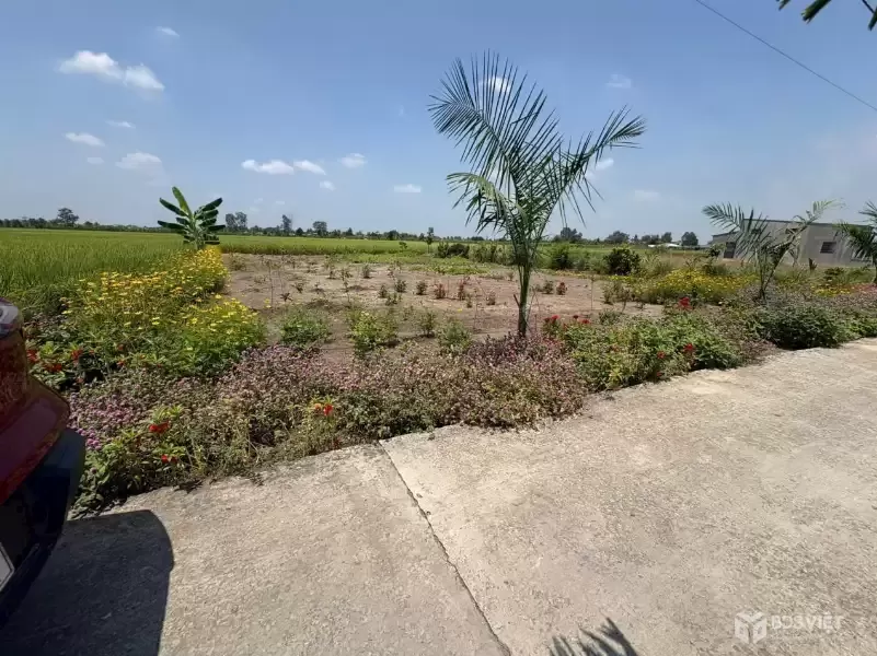 Bán 2 nền thổ cư đường beton xe hơi xã Bình lãng , Tân Tru giá 390tr , 460tr