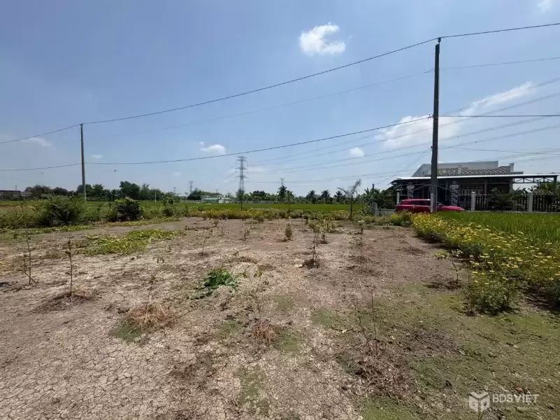 Bán 2 nền thổ cư đường beton xe hơi xã Bình lãng , Tân Tru giá 390tr , 460tr