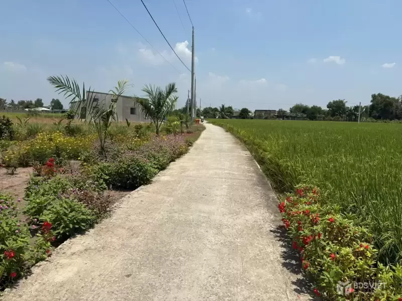 Bán 2 nền thổ cư đường beton xe hơi xã Bình lãng , Tân Tru giá 390tr , 460tr