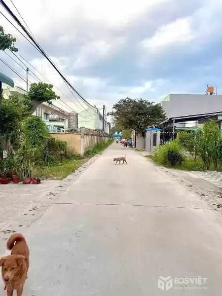 Bán nhà cấp 4 hẻm Lê Thị Bay , Tân Thạnh Đông dt 140m2 ,2pn,2wc giá 2,55 tỷ