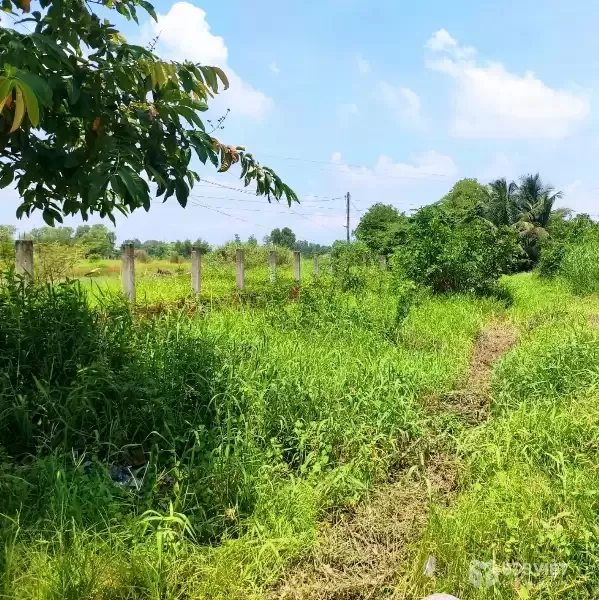 CẦN BÁN 207M2 ĐẤT THỔ CƯ MT ĐƯỜNG NGUYỄN HỮU TRÍ