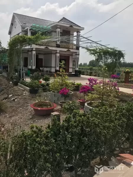 ĐẦU TƯ SINH LỜI - Chính Chủ Cần Bán Nhà Đất Tại Ấp 3, xã Tân Thành , huyện Thủ Thừa , tỉnh Long An