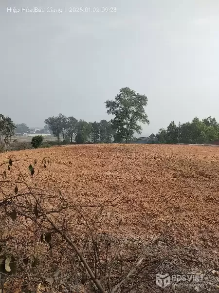 Bán gấp giá rẻ Hòa Lạc 100m, đất phân lô, mặt tiền 4.5m, 3.5 tỷ Hà Nội.