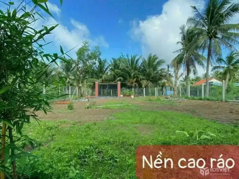 Bán đất 2 mặt tiền An Thạnh, Bến Lức dt 302m2 full thổ giá giảm còn 2,3 tỷ