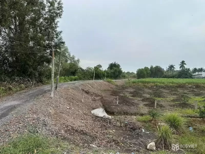 Bán đất vườn xã Bình Đức, Bến Lức dt 4.347m2 khu vực được chuyển thổ giá 7,3 tỷ