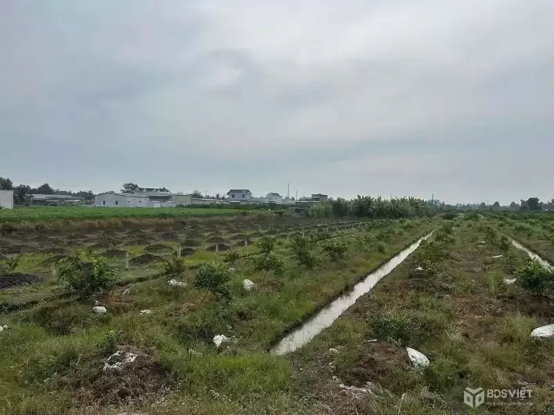 Bán đất vườn xã Bình Đức, Bến Lức dt 4.347m2 khu vực được chuyển thổ giá 7,3 tỷ