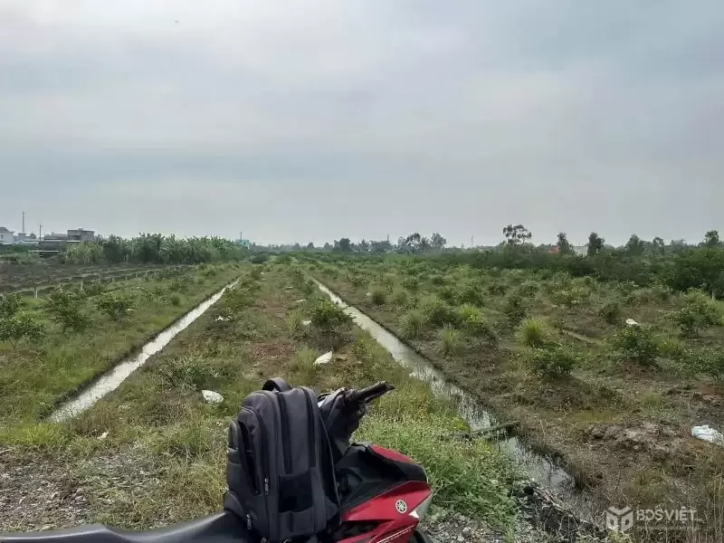 Bán đất vườn xã Bình Đức, Bến Lức dt 4.347m2 khu vực được chuyển thổ giá 7,3 tỷ