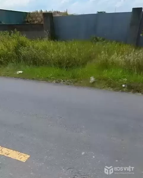 Bán đất mặt tiền tỉnh lộ 826b xã Phước Đông, Cần Đước dt 4000m2 ( 500m2 thổ ) giá chốt 25 tỷ