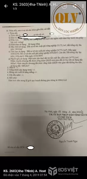 BÁN ĐẤT XÂY DỰNG NHÀ XƯỞNG – GÒ DẦU, TÂY NINH – 36.176m²