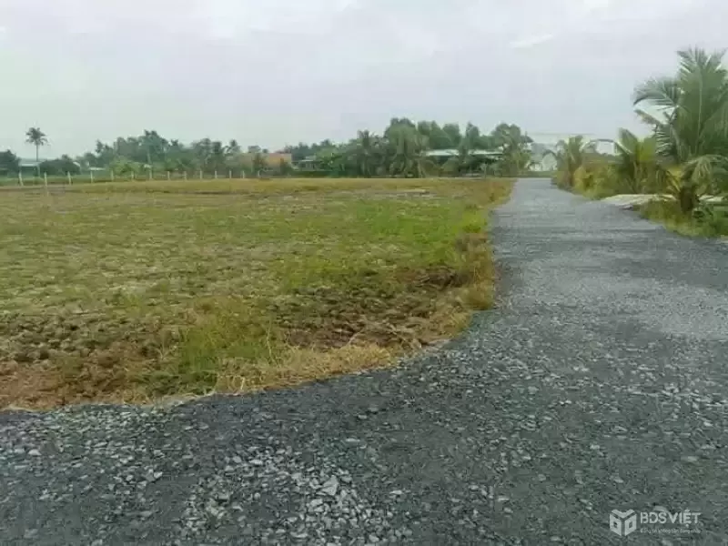 Bán đất view kênh góc 2 mt đường đá xanh 3m Phước Vân , Cần Đước dt 591m2 full thổ giá 2 tỷ