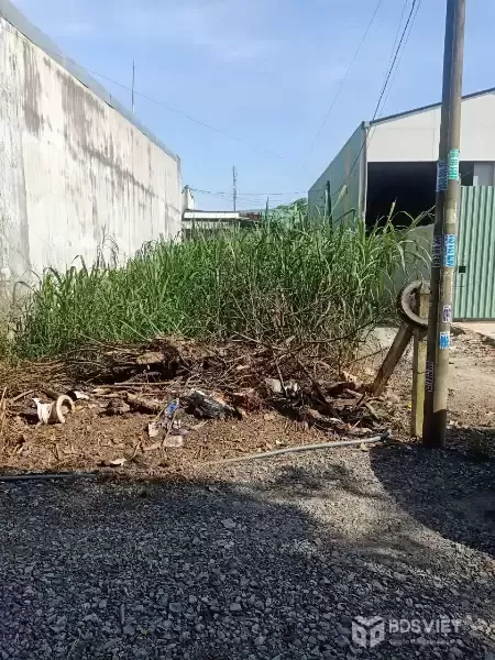 Bán đất 2 mặt tiền xã Tân Thạnh Đông dt 100m2 full thổ giá 1,95 tỷ