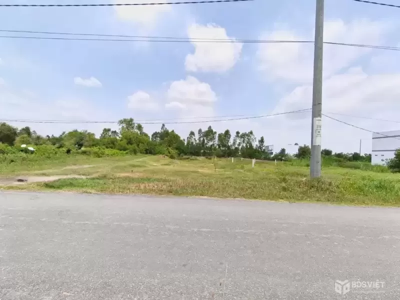 Bán đất mt đường Tân Bửu-Thanh Phú,xã Tân Bửu dt 224m2 (200m2 thổ) giá 3,5 tỷ