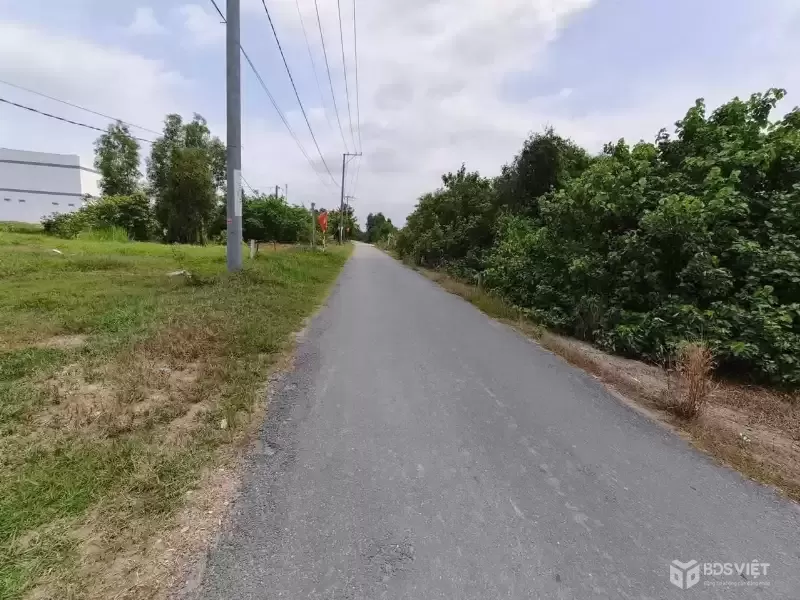 Bán đất mt đường Tân Bửu-Thanh Phú,xã Tân Bửu dt 224m2 (200m2 thổ) giá 3,5 tỷ