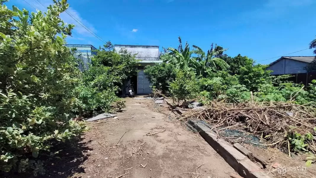 Bán đất tặng nhà cấp 4 hoàn công ĐT 833 tdt 1916m2 ( 300m2 thổ ) Bình Lãng , Tân Trụ giá 6,5 tỷ