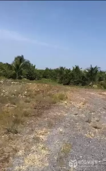 CHÍNH CHỦ Cần Bán 12.000m2 Đất Lúa - 2 MẶT TIỀN Châu Thị Kim, An Vĩnh Ngãi, TP Tân An