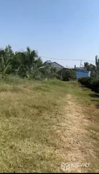 CHÍNH CHỦ Cần Bán 12.000m2 Đất Lúa - 2 MẶT TIỀN Châu Thị Kim, An Vĩnh Ngãi, TP Tân An