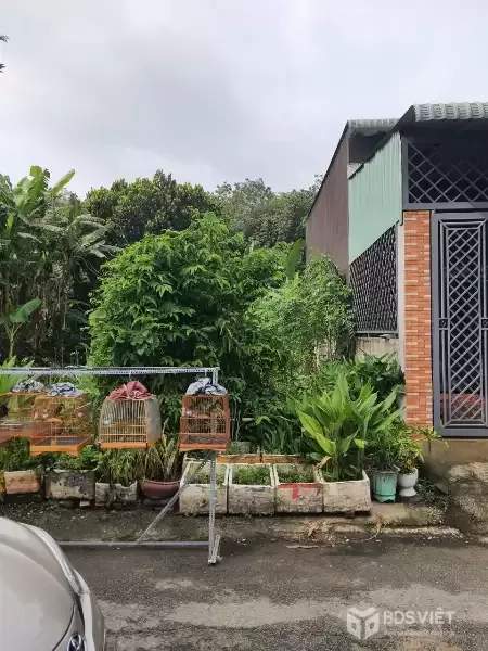 ĐẤT ĐẸP - GIÁ TỐT -  CẦN BÁN GẤP 3 LÔ ĐẤT Thổ  Cư 100% TẠI BÌNH MỸ, CỦ CHI, TP HỒ CHÍ MINH