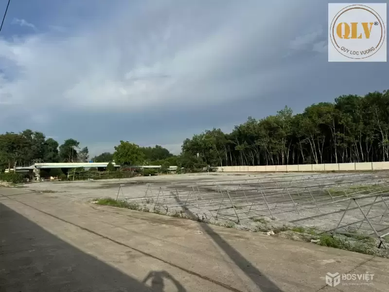 Cho thuê xưởng gỗ Phú Giáo, Bình Dương 10.000m²