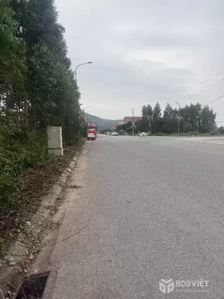 Bán đất đấu giá Xuân Phú, Yên Dũng, Bắc Giang: 90m2 - MT 5m. Đường 32m - giá 3,9 tỷ