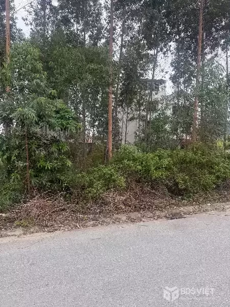 Bán đất đấu giá Xuân Phú, Yên Dũng, Bắc Giang: 90m2 - MT 5m. Đường 32m - giá 3,9 tỷ