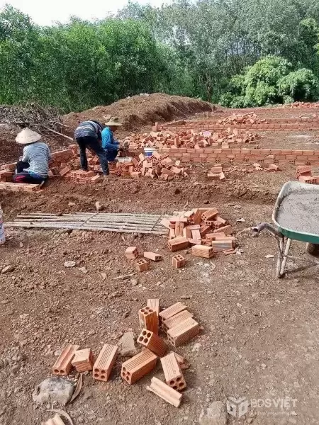 ĐẤT ĐẸP - GIÁ ĐẦU TƯ- CẦN BÁN GẤP LÔ ĐẤT SÀO Tại Tân Phước , ĐỒNG PHÚ, BÌNH PHƯỚC