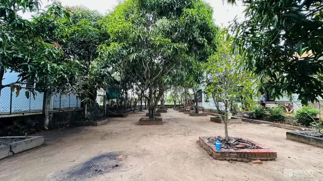 CẦN BÁN 1427M2 NHÀ VƯỜN MT ĐƯỜNG PHAN THỊ KHAI