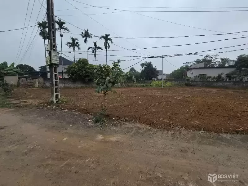 ???? đất thị trấn hơn 300 triệu – có sổ riêng, hiếm thật sự tại ba hàng đồi