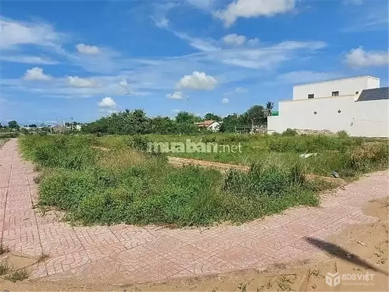 ĐẤT ĐẸP - CHÍNH CHỦ Cần Bán Tại Thị Trấn Cần Đước, Huyện Cần Đước, Long An