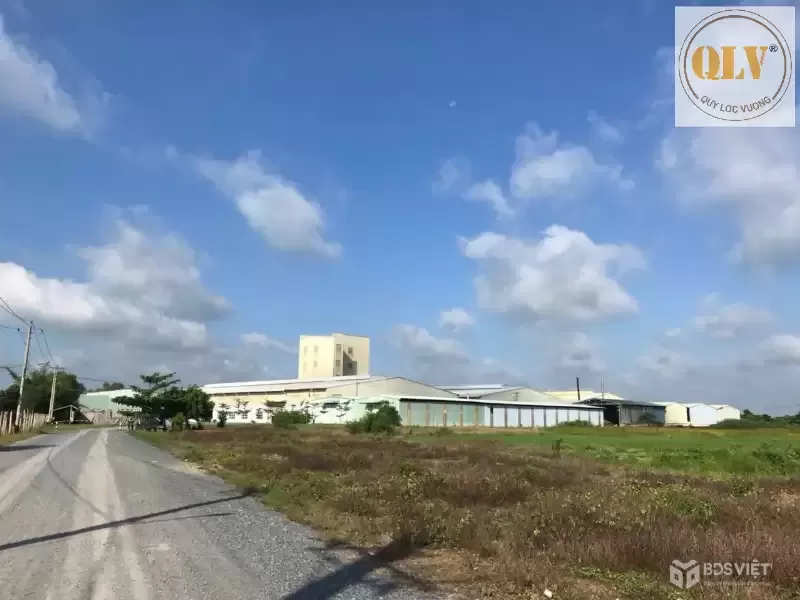 BÁN NHÀ MÁY SẢN XUẤT THỨC ĂN GIA SÚC, GIA CẦM, THỦY SẢN - TN – 11,65HA