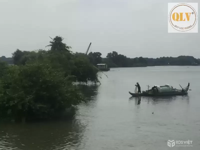 BÁN NHÀ MÁY SẢN XUẤT THỨC ĂN GIA SÚC, GIA CẦM, THỦY SẢN - TN – 11,65HA