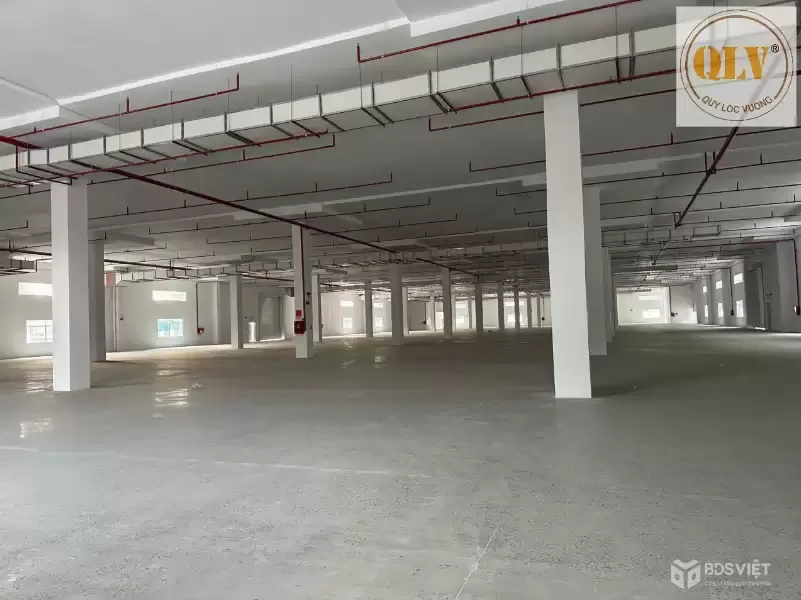 CHO THUÊ NHÀ XƯỞNG – KCN TÂN BÌNH, BD – 24.000m²