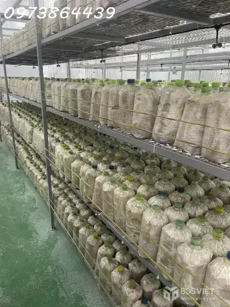 BÁN ĐẤ-  TẶNG XƯỞNG NẤM - PIN NĂNG LƯỢNG MẶT TRỜI MẶT TIỀN KINH DOANH - TẠI CỦ CHI - NGANG 18M - 2300M2 - GIÁ 12 TỶ TL