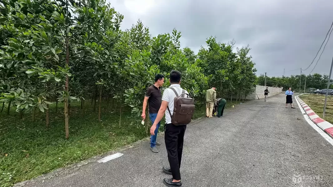 ???? 2xx triệu – tầm tiền này nhiều nơi còn đất trống, ở đây đã có dân cư + sổ riêng